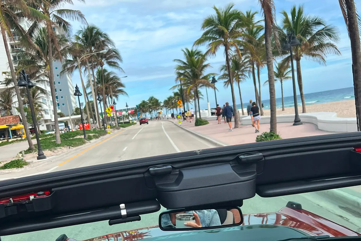 Jeep with the top open under palm trees